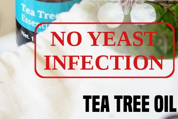 Tea Tree Oil For Yeast Infections
