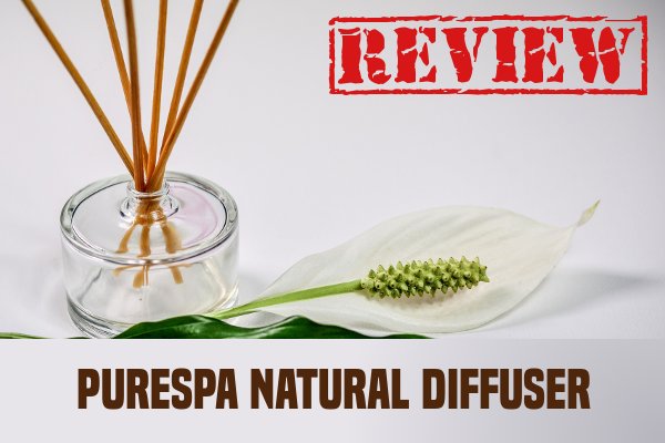 PureSpa Natural Essential Oil Diffuser Review
