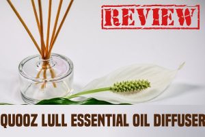 Quooz Lull Essential Oil Diffuser Review