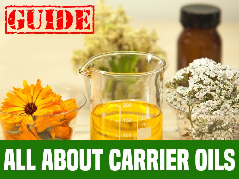 Carrier Oils To Use With Essential Oils